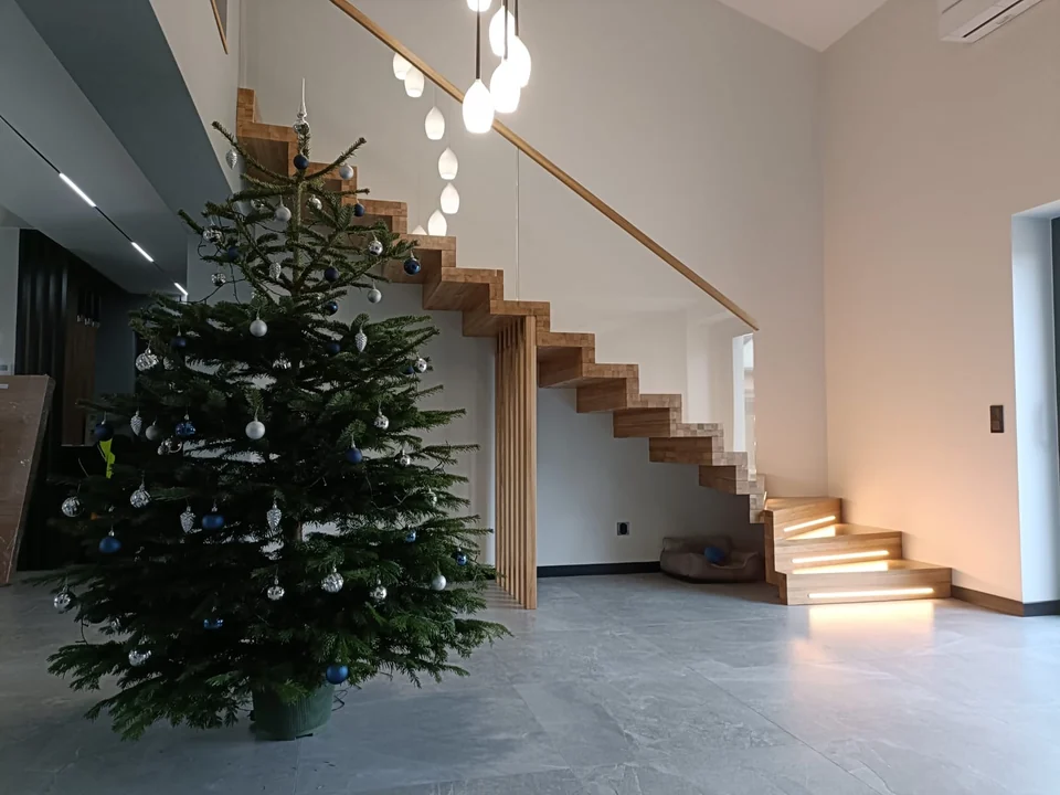 Schody dywanowe z balustradą prowadzoną pod strop i oświetleniem LED